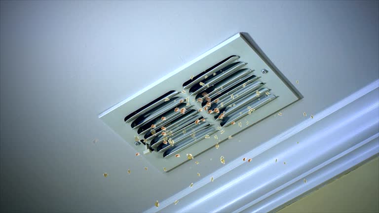 Ventilation Cleaning Services in Cedar Springs, MI
