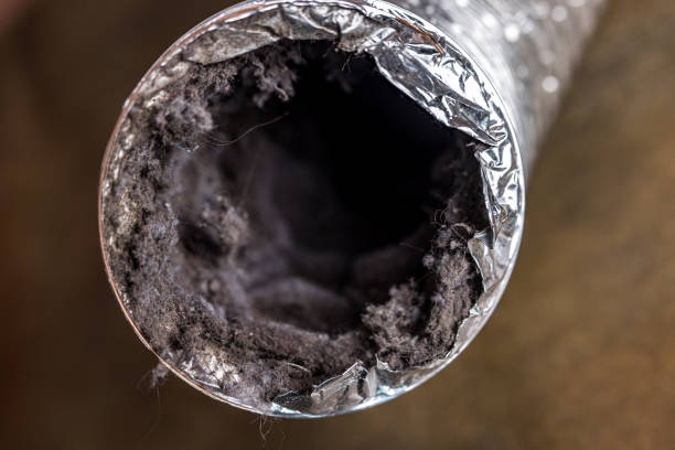 Best Best Air Duct Cleaning Company  in Cedar Springs, MI