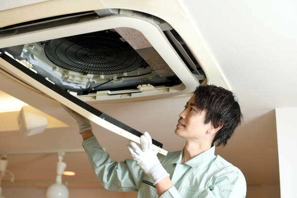 Best Affordable Duct Cleaning Services  in Cedar Springs, MI