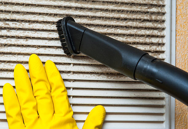 Best Ductwork Cleaning Services  in Cedar Springs, MI